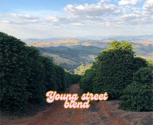 Young Street Blend